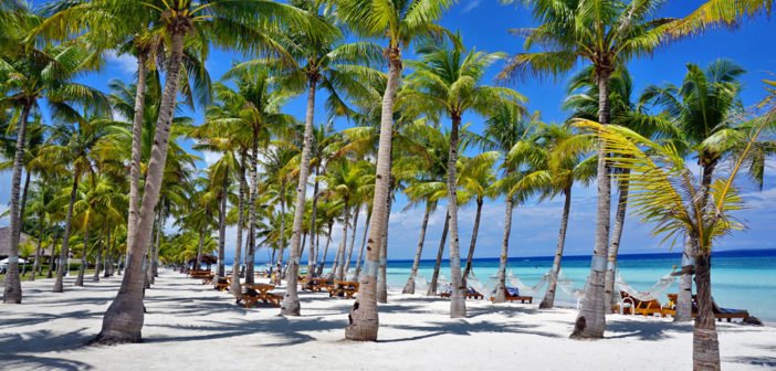 Bohol Beach Club Day Tour Bohol Beach Club Day Tour