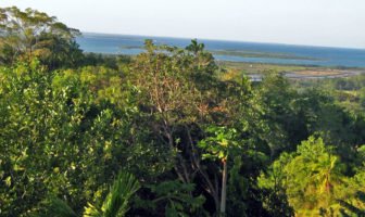 Land for Sale in Tubigon - Bohol