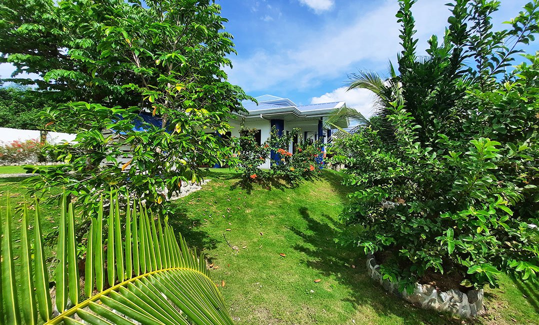 Panglao House Tropical Green Garden