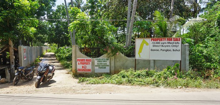 Panglao Lot for sale rent