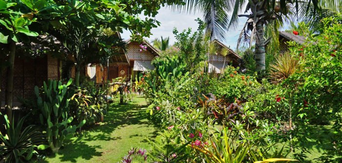 Reggae Guesthouse Natural Tropical Garden